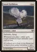 Loyal Gyrfalcon #11