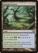 Flooded Grove #177