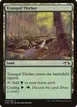 Tranquil Thicket #26