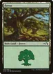 Forest #31