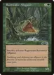 Rootwater Alligator #122