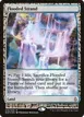 Flooded Strand #16