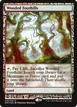 Wooded Foothills #19