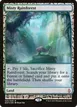 Misty Rainforest #25