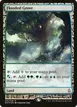 Flooded Grove #35