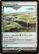 Horizon Canopy #40