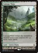 Canopy Vista #5