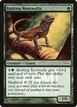 Basking Rootwalla #4