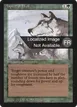 Aspect of Wolf #186