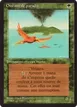 Birds of Paradise #187