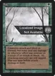 Fog #195