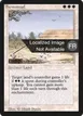 Farmstead #19