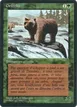 Grizzly Bears #201