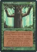 Ironroot Treefolk #204