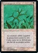 Green Ward #20