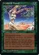 Shanodin Dryads #216