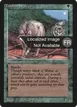 Timber Wolves #219