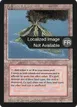 Volcanic Island #291