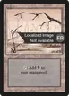 Swamp #299