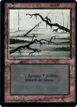 Swamp #300