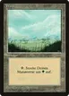 Forest #306a