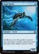 Aegis Turtle #150