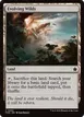 Evolving Wilds #262