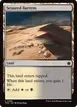 Scoured Barrens #266