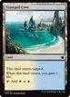 Tranquil Cove #270