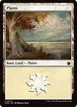 Plains #272