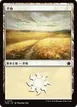 Plains #273