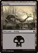 Swamp #276