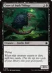 Crow of Dark Tidings #519