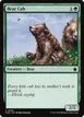 Bear Cub #552