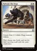 Release the Dogs #580