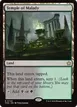 Temple of Malady #700