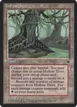 Hollow Trees #97