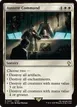 Austere Command #231