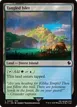 Tangled Islet #434