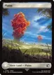 Plains #294