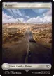 Plains #296