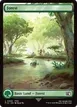 Forest #308