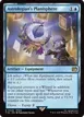 Astrologian's Planisphere #46