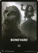 Boneyard #19