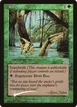 River Boa #1