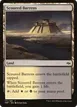 Scoured Barrens #171