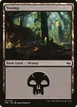 Swamp #181