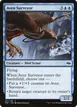 Aven Surveyor #31