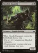 Hooded Assassin #73