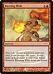 Burning Wish #5